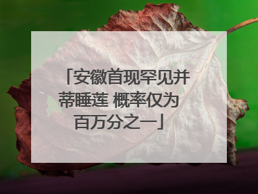 安徽首现罕见并蒂睡莲 概率仅为百万分之一